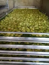 
Bitter Melon/ Bitter Gourd / Karela from Vietnam super cheap price 