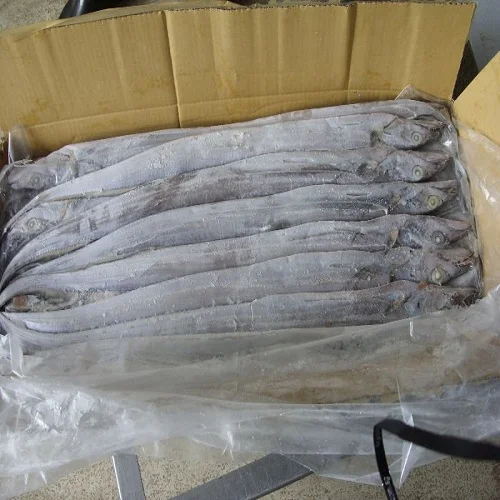 Frozen Ribbon Fish - High Quality and cheap price product from VIETNAM