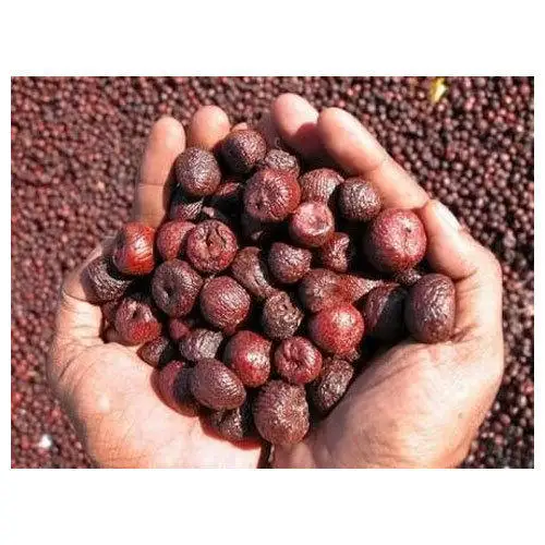 Raw Betel nut/Bitter Betel nut