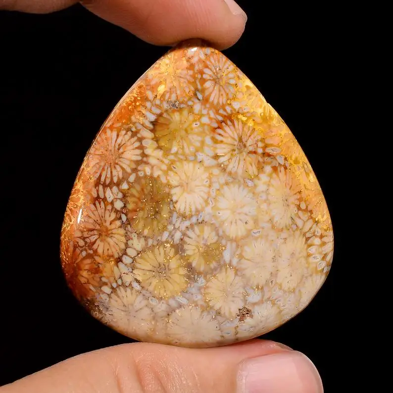 Attractive Fossil Coral Gemstone Smooth Polished Pear Shape Stone Fossil Coral Cabochon Best For Jewelry Making Use at Bulk Rate