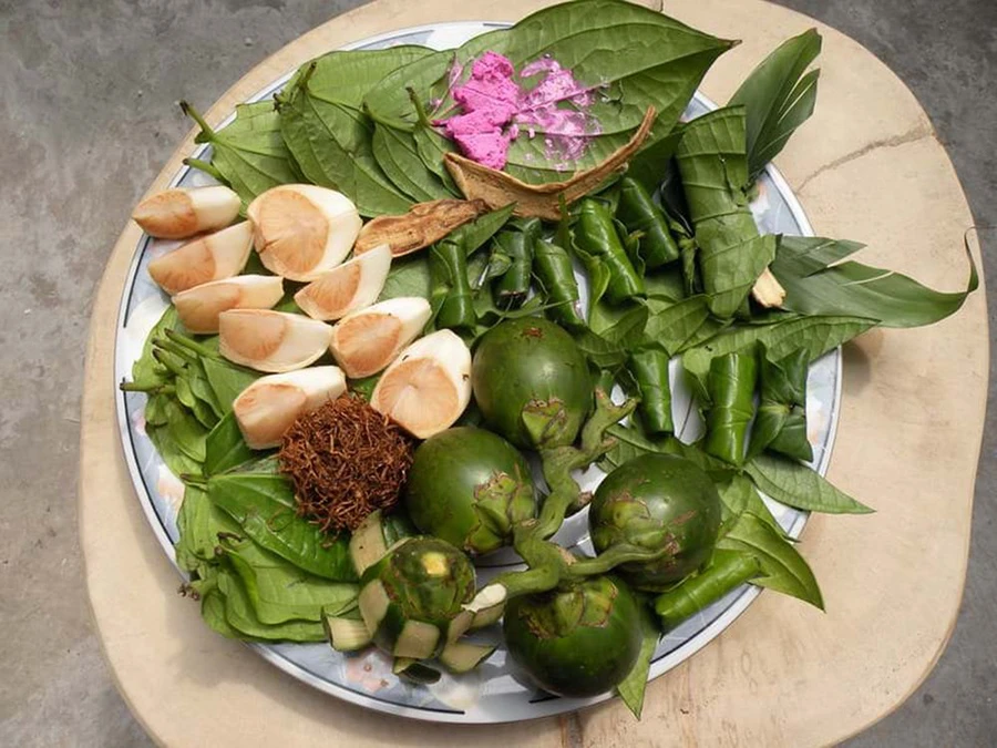 FRESH BETEL LEAVES EXPORTING IN BULK  -  TERESA +84971482716
