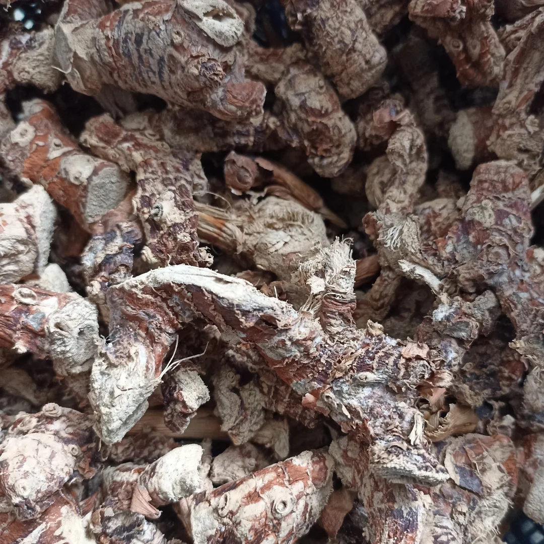 Galangal Whole Dried