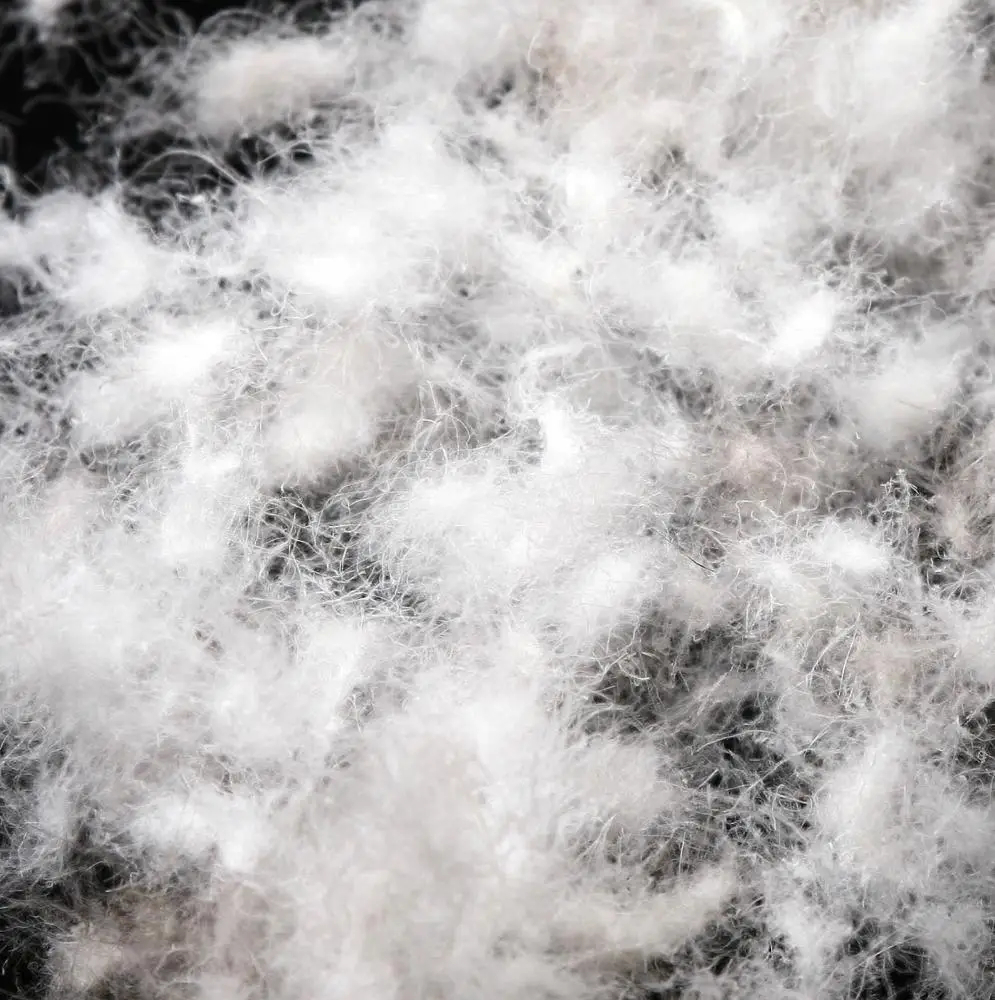 Wholesale  White Goose Down 90/10,   Vietnam Standard