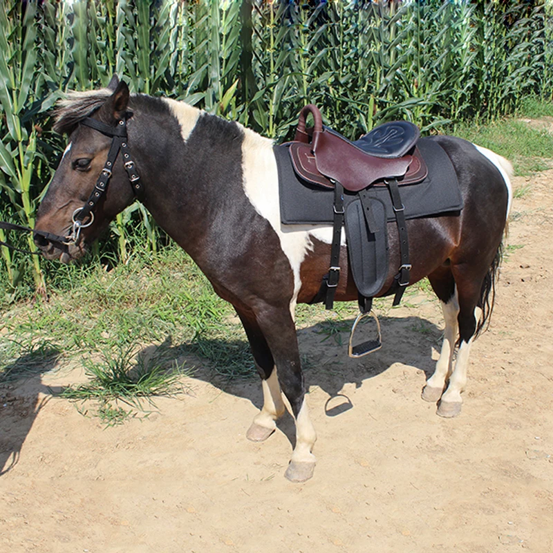 New Arrival Polo Trail Dressage Jumping Equipment Pad Racing Horse Leather Saddle