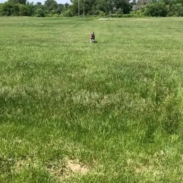 Земля в России #1