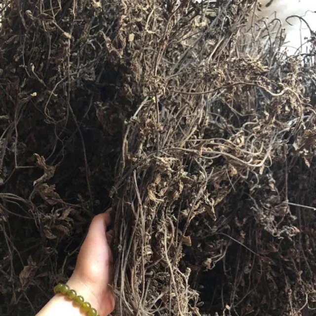 Sales price of raw dried mesona chinensis / jelly grass/ Chin Chou p