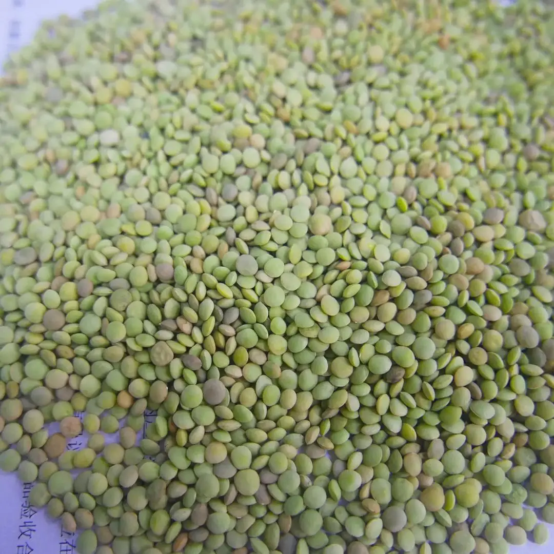 
Ukraine Green Lentils 