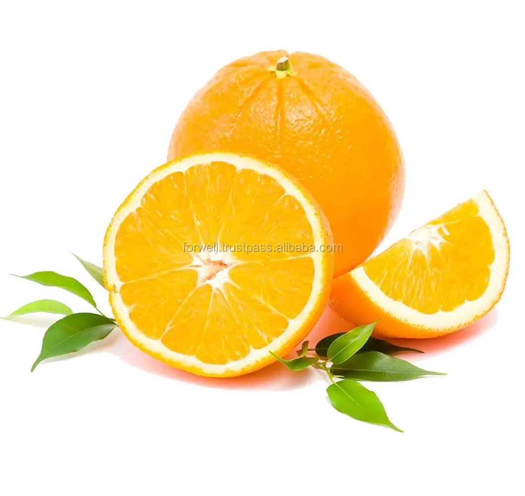 Export fresh orange from Egypt good quality for export