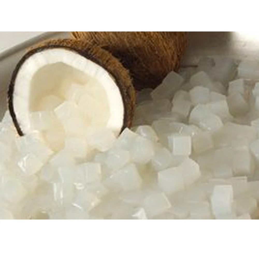 
Nata De Coco 0505 Mm With Syrup - Coconut Jelly from Vietnam Best Supplier 