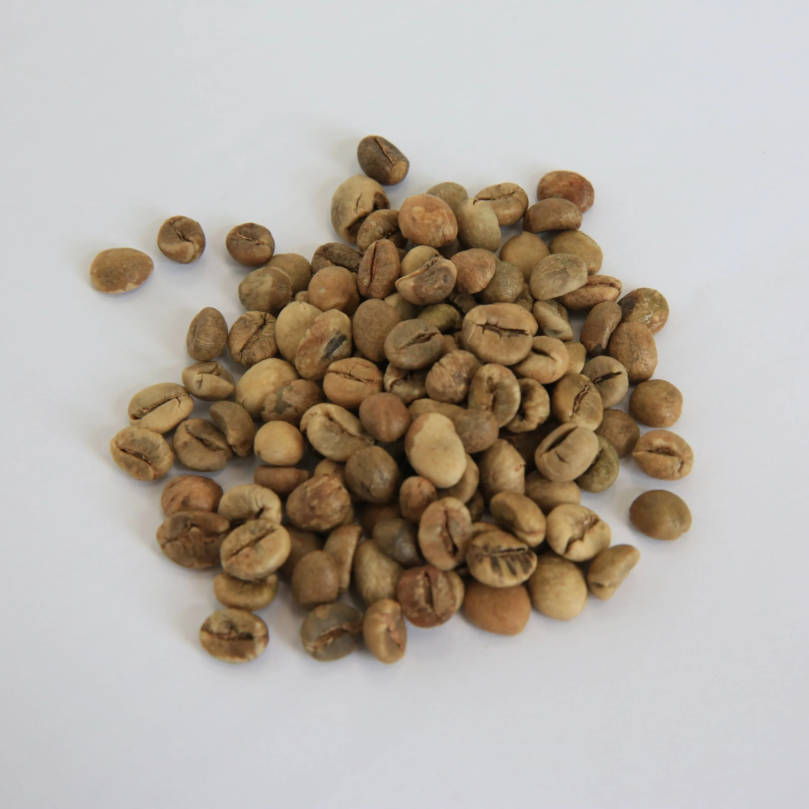 Green Coffee Beans Robusta Coffee Vietnam High Quality