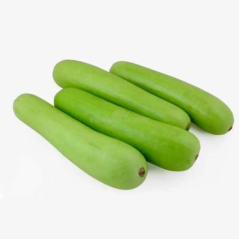 Оптовая цена, бутылка для овощей, семена тыквы, азиатские овощи с хорошей упаковкой из бангладеш