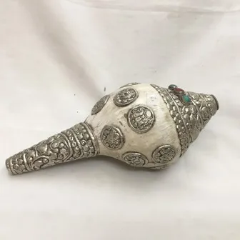 Auspicious Sign set Conch shell