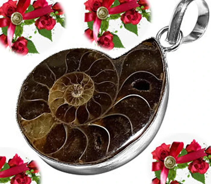 Ammonite fossil 925 silver plated pendant, antique jewelry supplier (1700001860372)