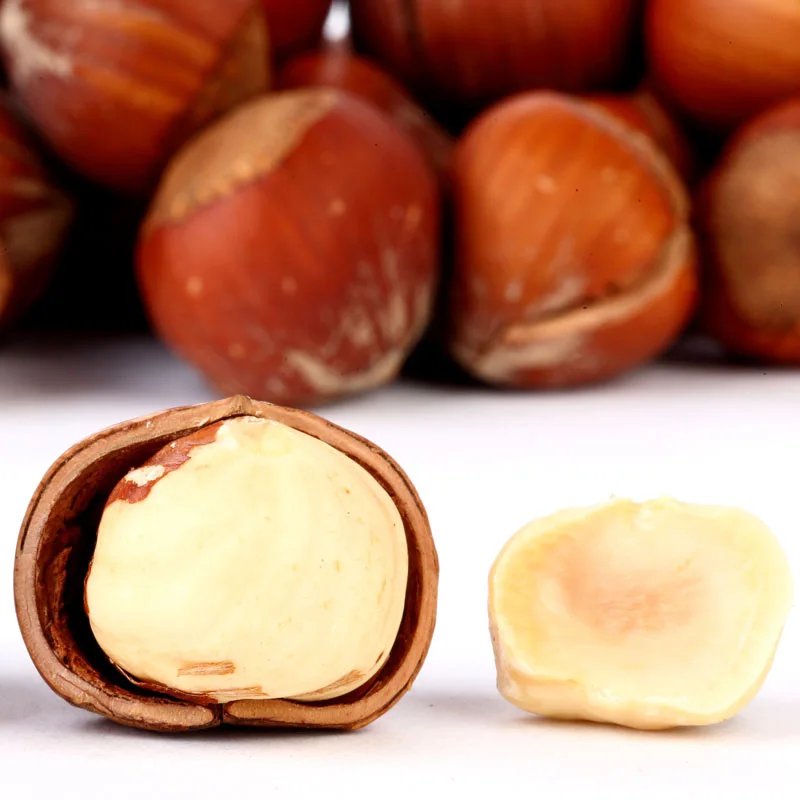 Hazelnut4.jpg