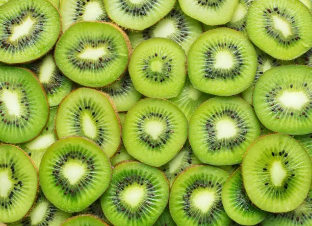 Best Quality Fresh Fruit kiwi made in Japan