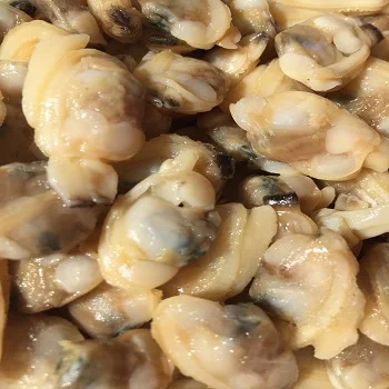 
live fresh and Razor clam 