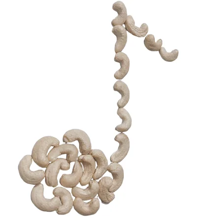 
OEM packing healthy foods ORGANIC CASHEW W450 