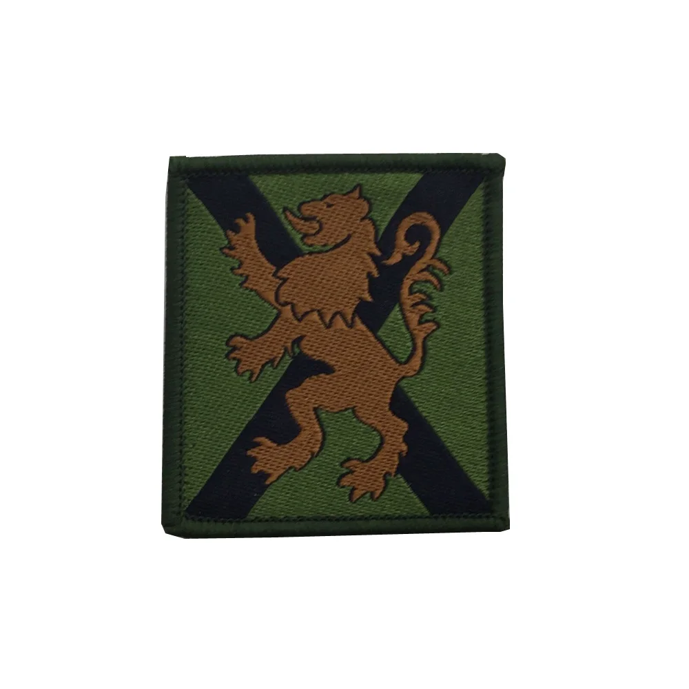ROYAL ANGLIAN 1ST BN ZAP номер и группа крови значок Военная нашивка крючок