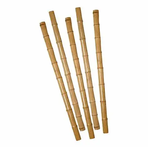 Agriculture Bamboo Sticks Raw Bamboo Poles for Nursery Planting 99GD