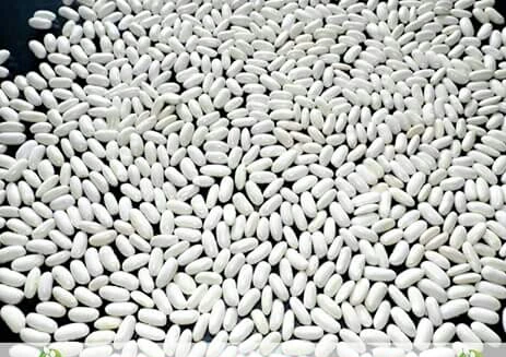 100% свежая белая фасоль-высокое качество по низкой цене