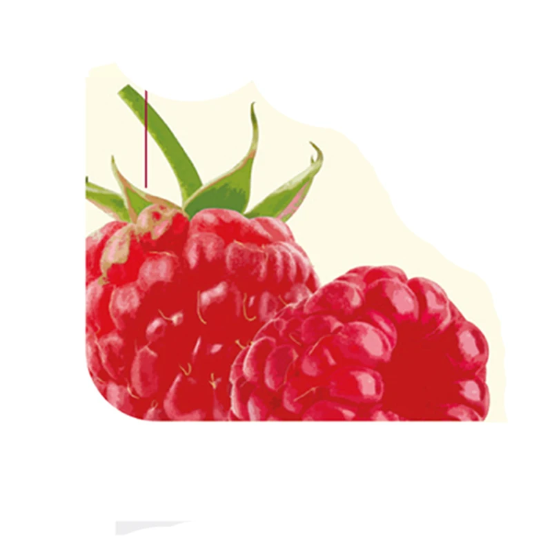 Good Quality Bulk Seasonings and Condiments Jam High Quality Raspberry Jam Portion