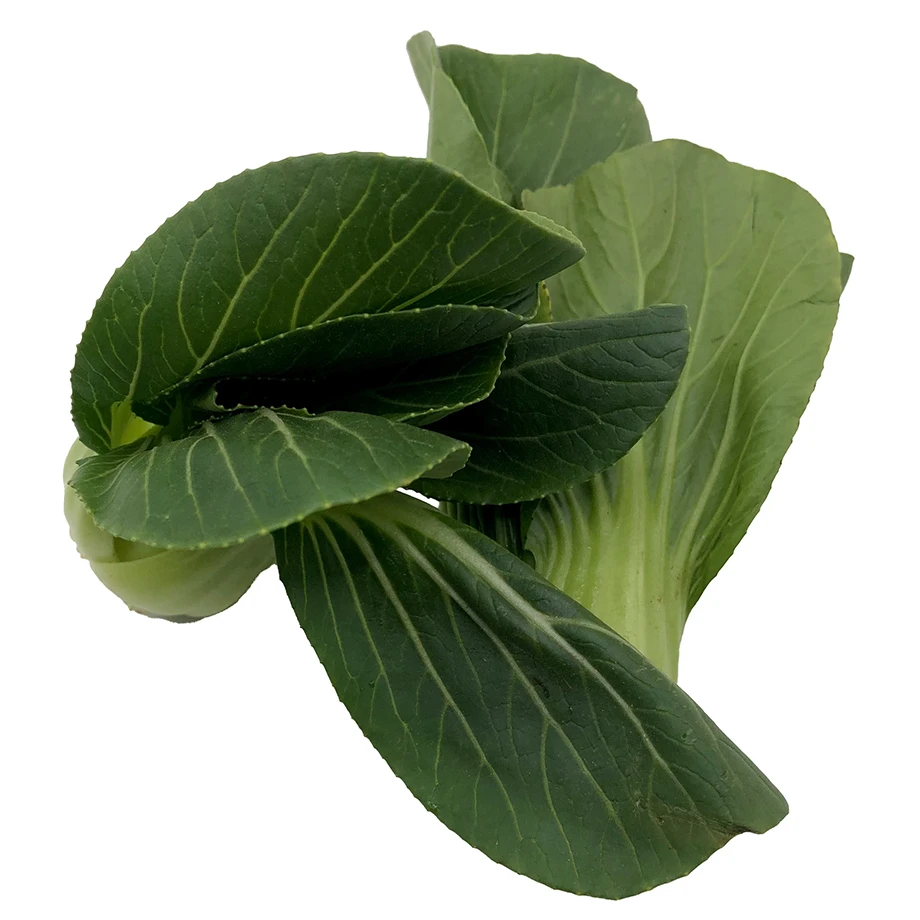Imported Quality Super Fresh Cheap Price Box Packing Top Grade Selecting Other Fresh Vegetables Pak Choi Ready to Eat
