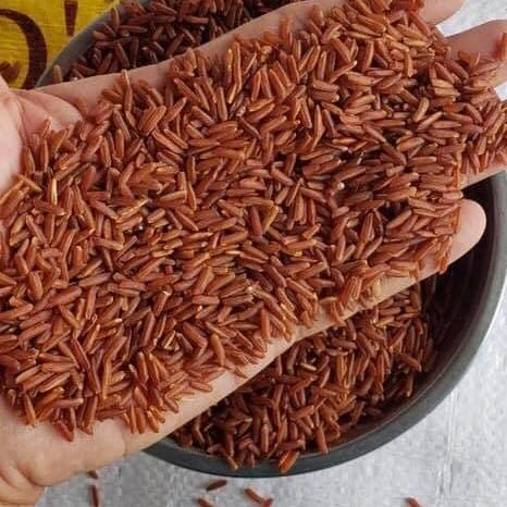 
BLACK RICE - RED RICE- BROWN RICE HEALTHY - Whatsapp 0084 989 322 607 