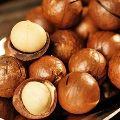 Орехи макадамии премиум-класса/Гавайский орех/оптовая продажа вьетнамских орехов макадамии-SVEN + 84 966722357