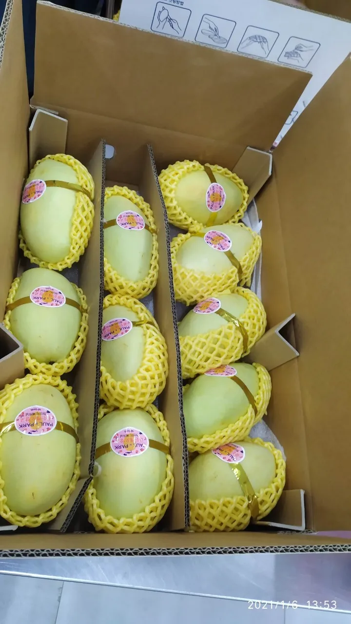 keo mango for export improve health origin in Vietnam sells in bulk