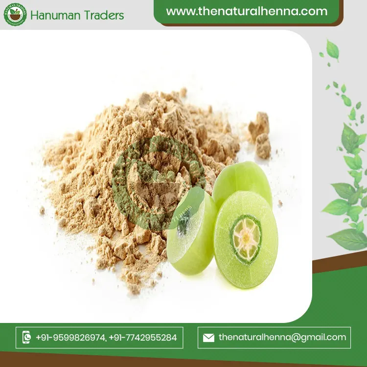 100% Natural Organic Indian Gooseberry Amla Powder For Hair Bulk Supplier From India