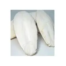 Купить сушеную косточку