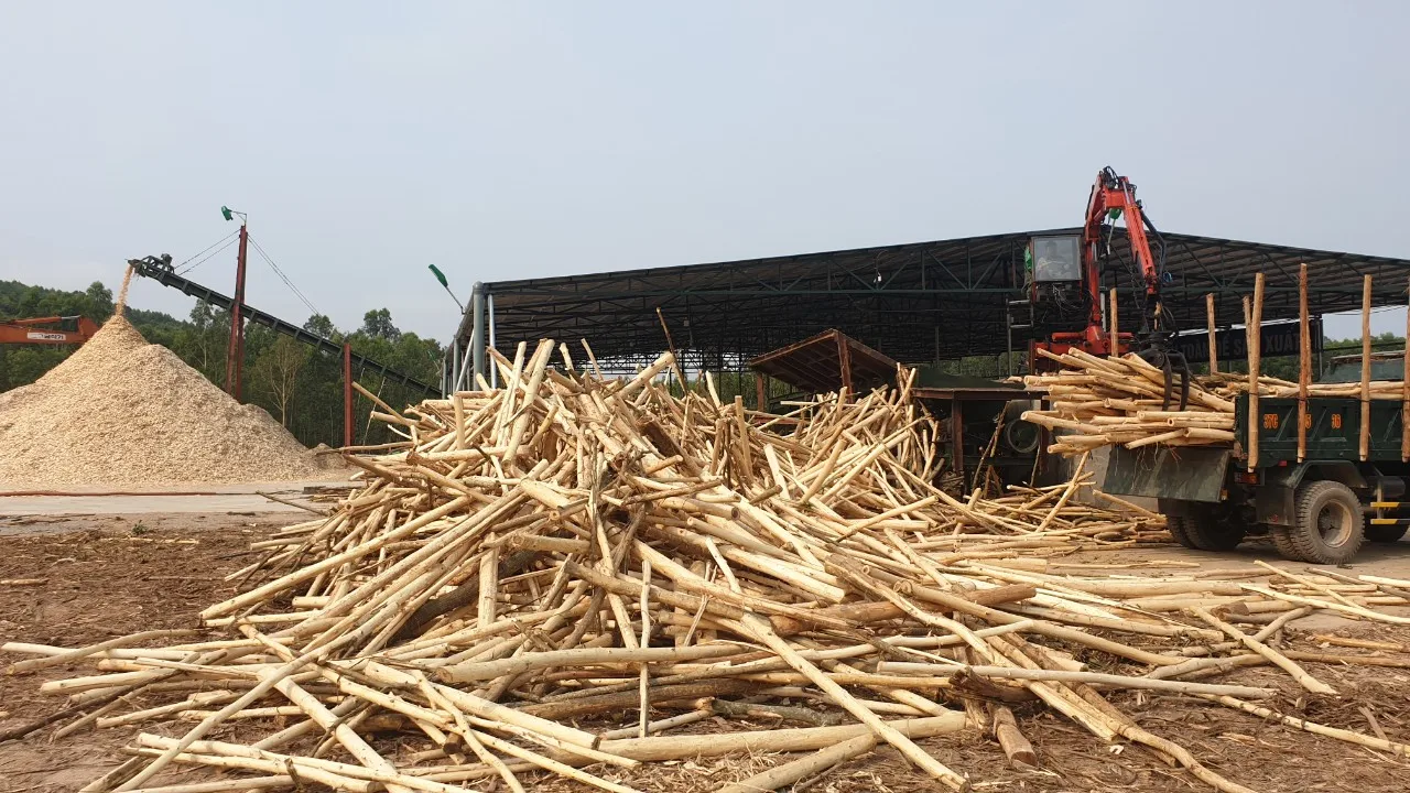 Wood Chips At Best Price made in Vietnam