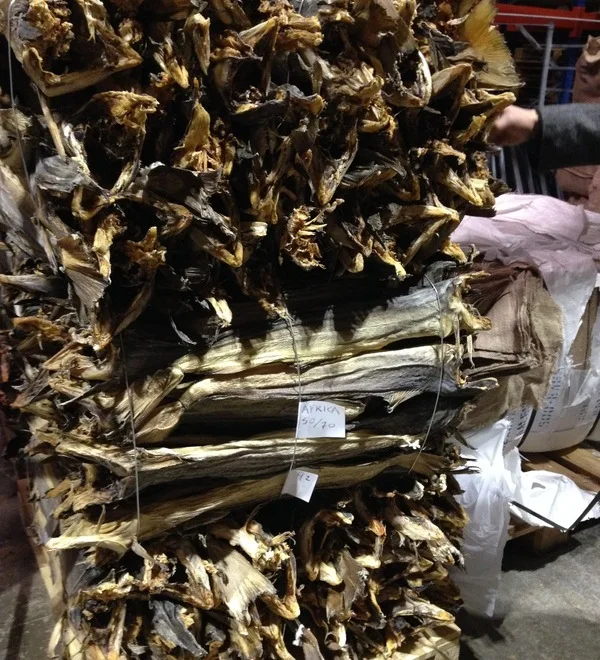 Whole Dried Stockfish of Cod in Bags and Bales.