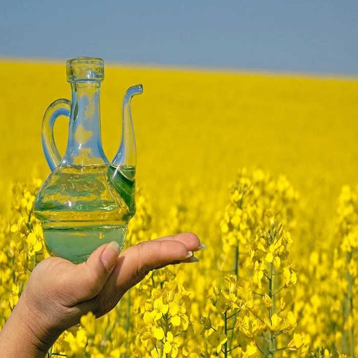 Canola Oil