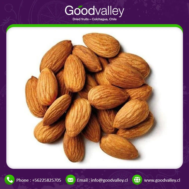 
Wholesale Factory Lowest Price Roasted Almonds Kernel Nuts Dry Fruits Antioxidants Almond 
