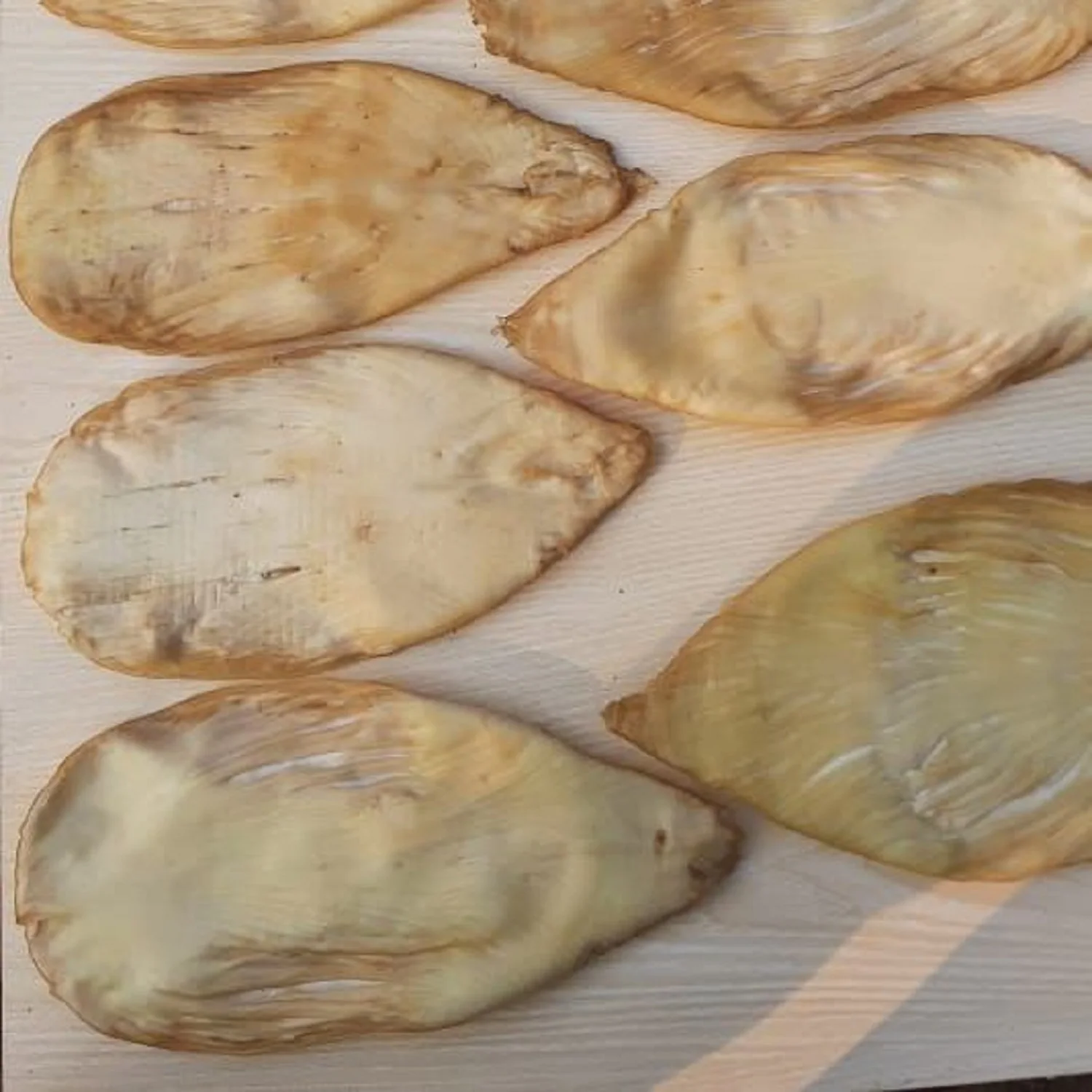 Black Drum Fish Maw Premium Quality Wholesale Sun Dried Master Seafood Product Best Quality Country of Origin Bangladesh