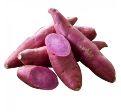 
High Quality Lowest price Fresh PURPLE JAPANESS SWEET POTATO from Viet Nam FOR EU/US/NORTH ASIA healthy vegetables 