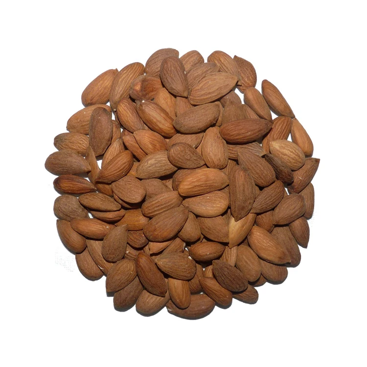 Органические ядра Горького абрикоса Премиум-Качества Оптом от поставщика