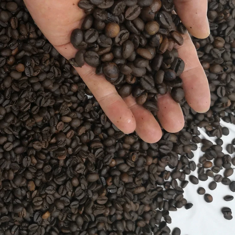 Жареные кофейные зерна Арабская робуста высокое качество чистый OEM упаковочный вес полка оригинальный тип жизни разные сорта место модель YUN