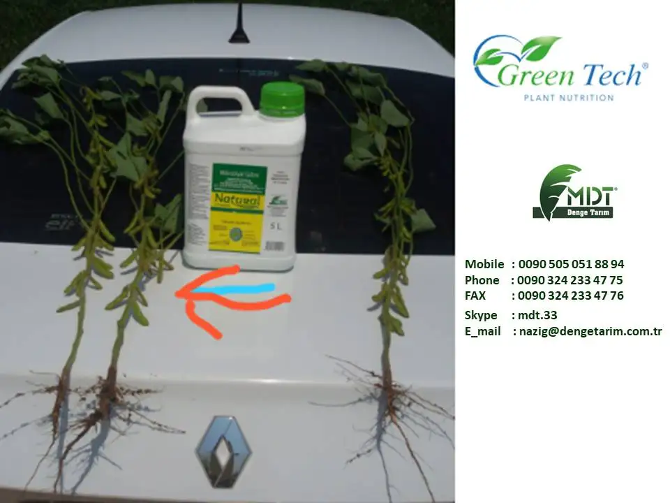 Green Tech AlgaCell - Liquid Biologic Fertilizer - Liquid Fertilizer -ACT ( Active Cell technology)