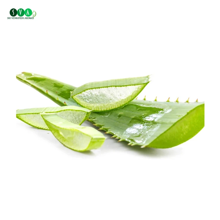 Wholesale 100% Pure Natural Organic Aloe Vera Oil from Indian Manufacturer