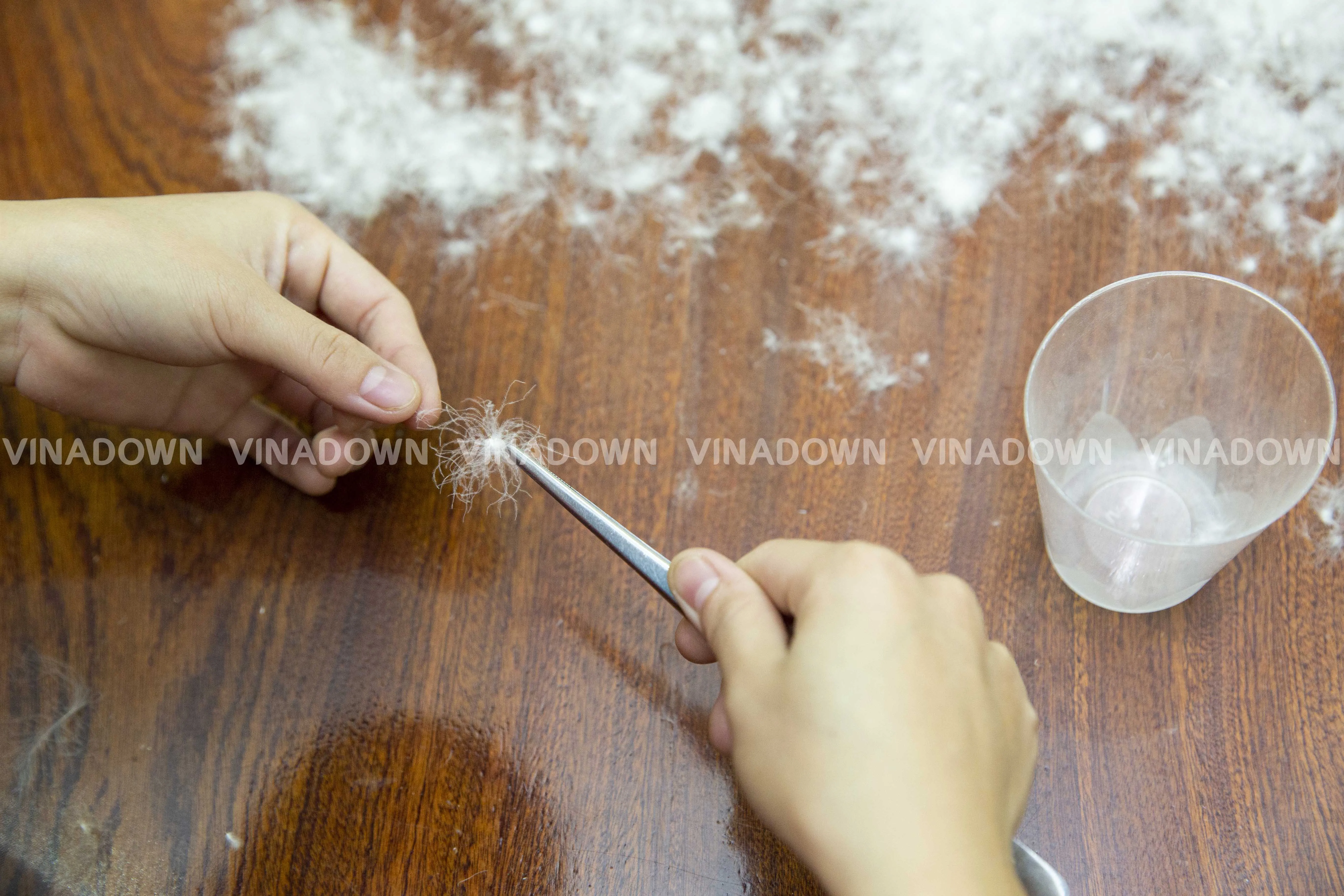 
Washed White Duck Down 90/10, Fill Power 700 From Vietnam 