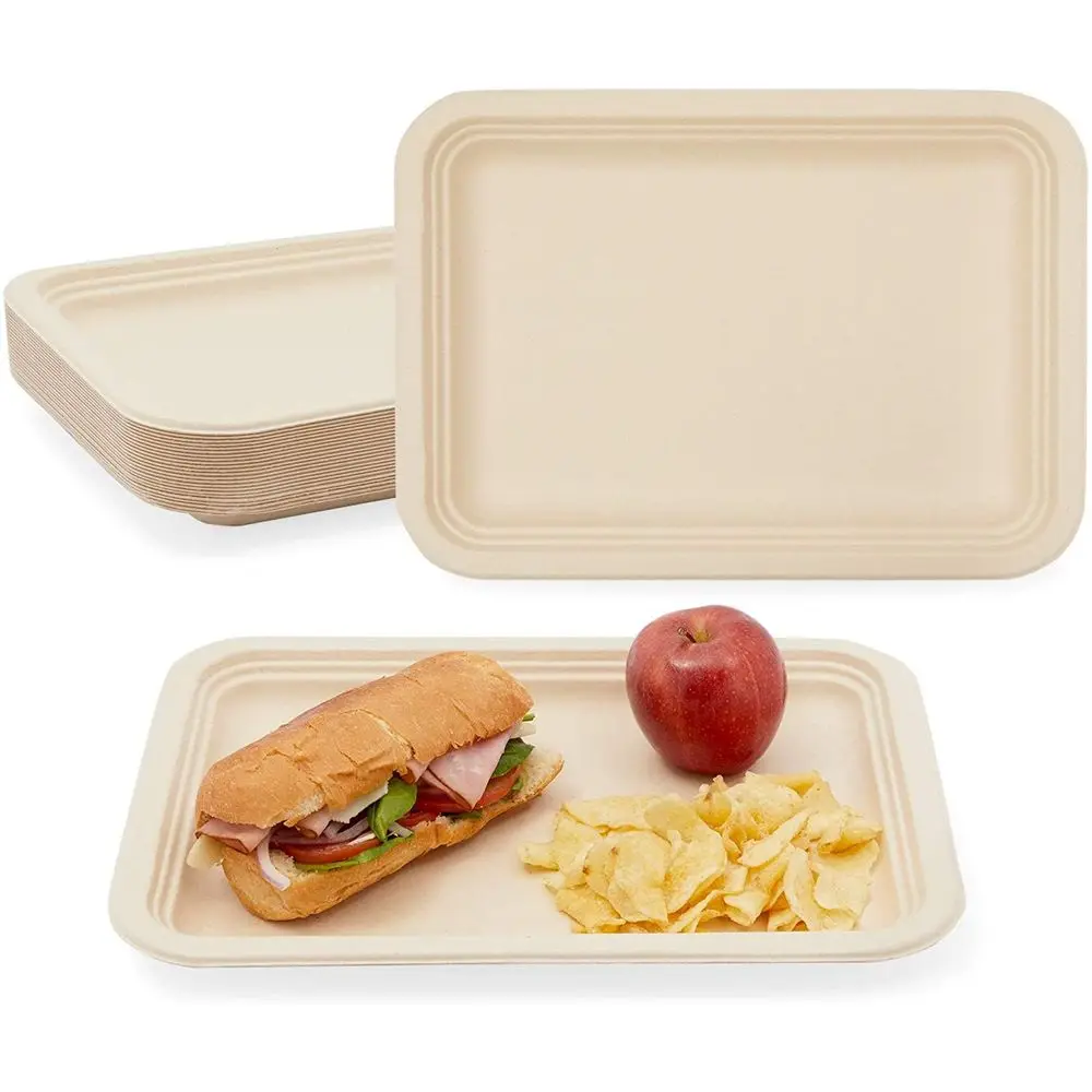 Factory Cheap Disposable Sugarcane Bagasse Tableware Biodegradable Fast Food Meal Meat Tray for Lunch