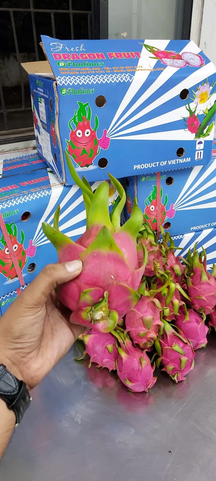 VIETNAM white/red Dragon fruit/ whatsapp +84966208131