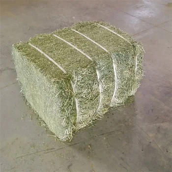 Украина Alfalfa