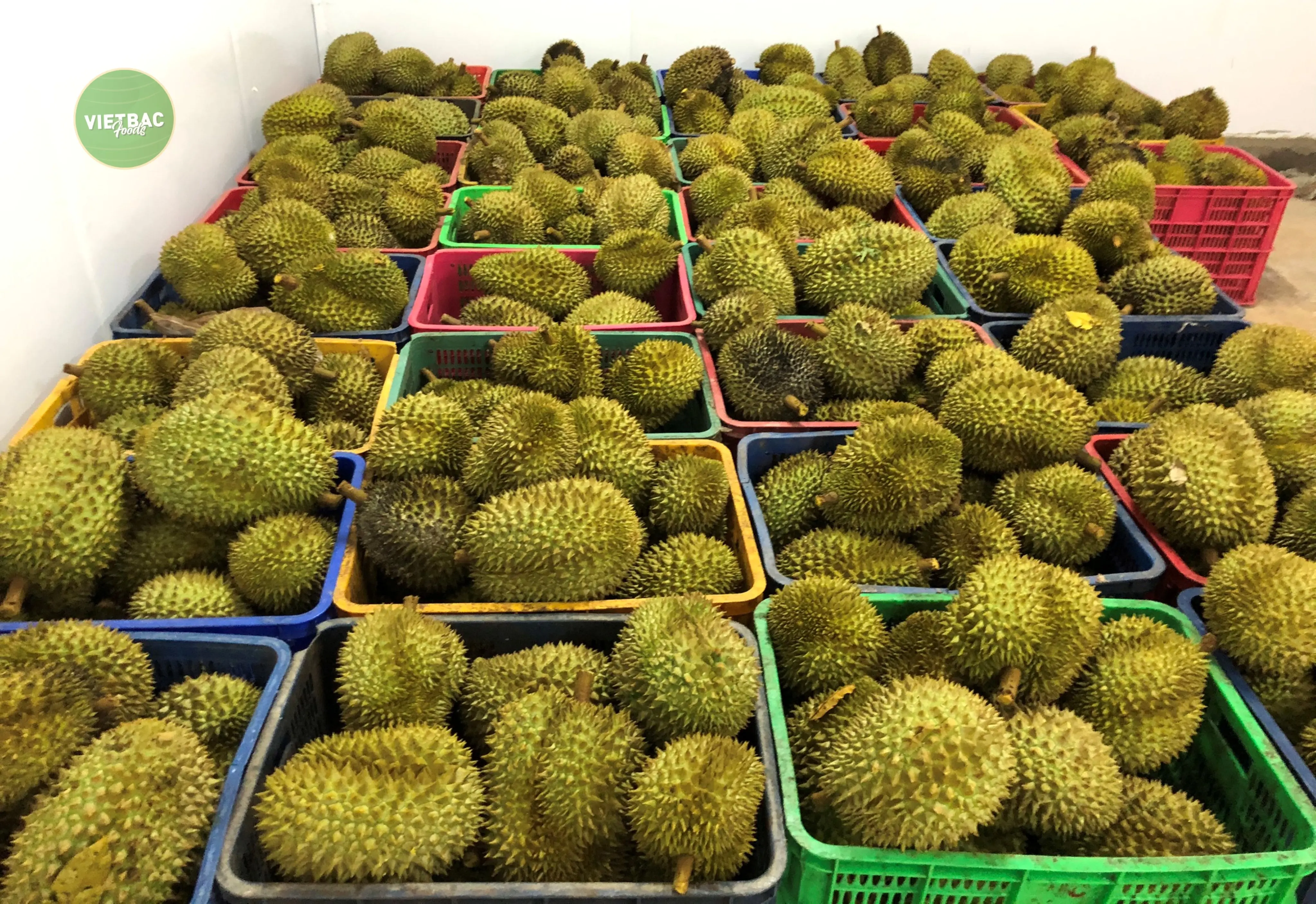 
Made In Vietnam Products Disposal Fresh Durian fruits 100% Money-Back Guarantee Hot Sale Now 