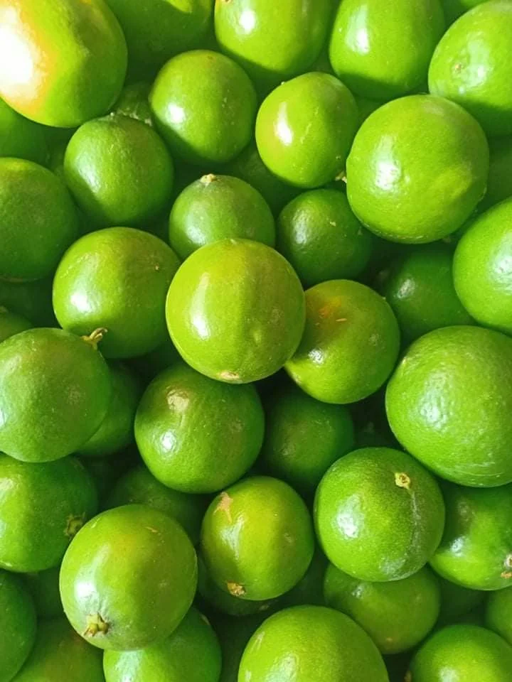Fresh Lime Fresh Green Seedless Lime And Lemons From Vietnam For Export  - WS 0084 989 322 607