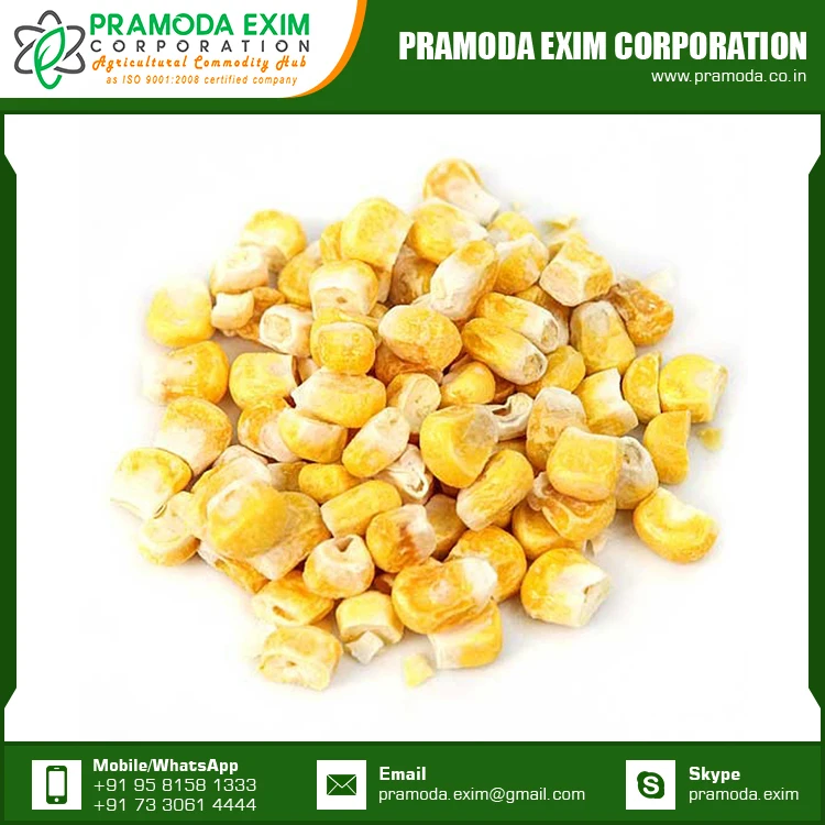 
Yellow Maize Corn Best Yellow Maize Corn for Animal Feed for Sale 