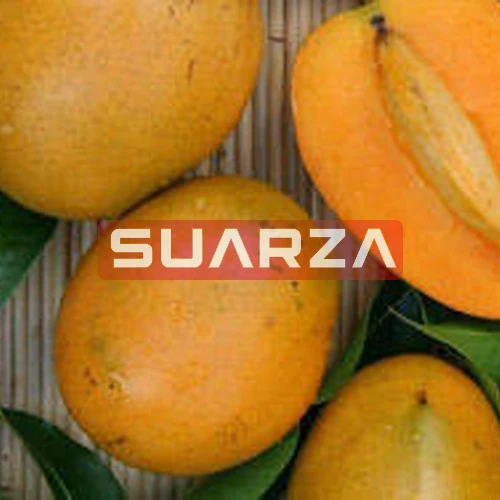 Seasonal Fresh Mangos in Lahore  in bulk quantity is supplied for wholesale price to different countries.