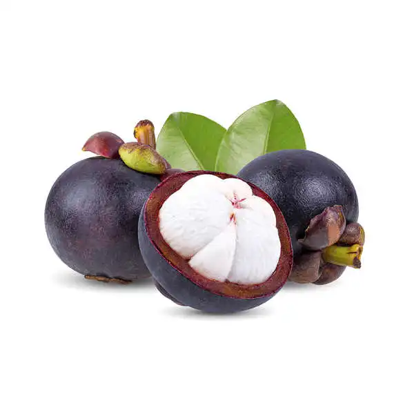 HIGH QUALITY 100% FRESH TASTY MANGOSTEEN FRUIT SPECIAL FROM VIETNAM WITH COMPETITIVE PRICE